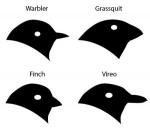 Black Trimian Warbler clipart