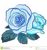 Blue Rose clipart