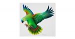 Blue-fronted Amazon clipart
