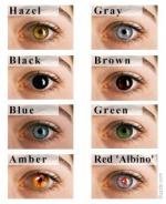 Brown Eyes coloring