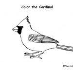 Cardinal coloring