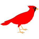 Northern Cardinal svg