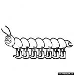 Centipede coloring