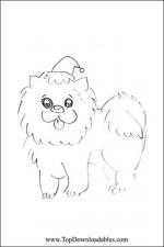 Chow Chow coloring