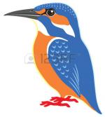 Common Kingfisher clipart