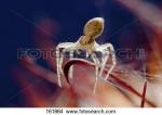 Crab Spider clipart