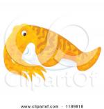 Cuttlefish clipart