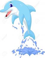 Dolphin clipart