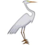 Egret svg