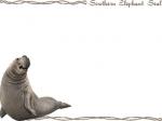 Elephant Seal clipart
