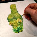 Emerald Tree Boa coloring