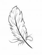 Feather coloring