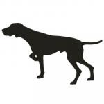 German Shorthaired Pointer clipart