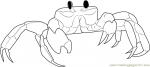 Ghost Crab coloring