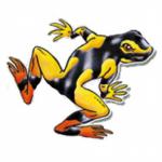 Golden Poison Frog clipart