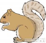 Gray Squirrel clipart