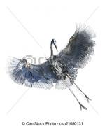 Great Blue Heron clipart