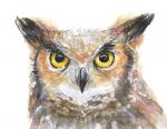 Great Horned Owl clipart