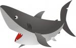 Great White Shark clipart