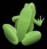 Green Frog svg