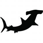 Hammerhead Shark clipart