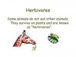 Herbivorous clipart