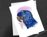 Hyacinth Macaw svg
