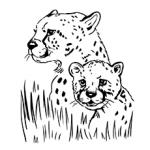Jaguar coloring