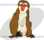 Macaque clipart