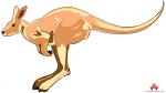 Wallaby clipart