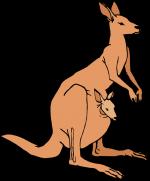 Kangaroo clipart