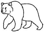 Kermode Bear clipart