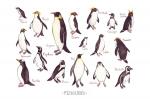 King Emperor Penguins clipart