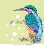 Kingfisher svg