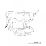 Longhorn Cattle coloring