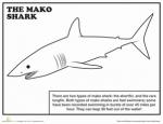 Mako Shark coloring