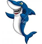 Mako Shark clipart