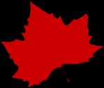 Maple Leaf clipart