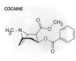 Molecule svg