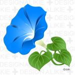 Morning Glory clipart