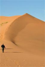 Namib Desert svg