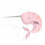 Narwhal clipart