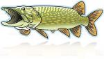 Northern Pike clipart