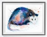 Opossum svg