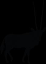 Oryx clipart