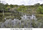 Pantanal clipart
