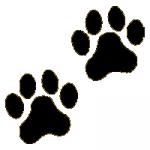 Paw clipart