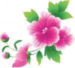 Pink Flower clipart