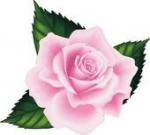 Pink Rose clipart
