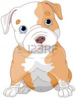 Pitbull Puppy clipart